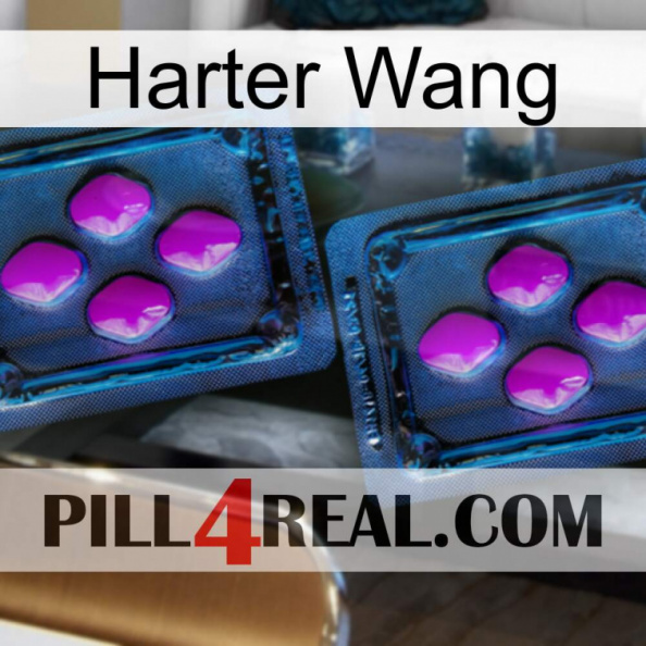Hard Wang 03